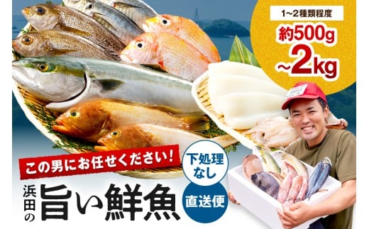 この男にお任せ！浜田の厳選鮮魚お試し便（下処理なし） 【006_2054】