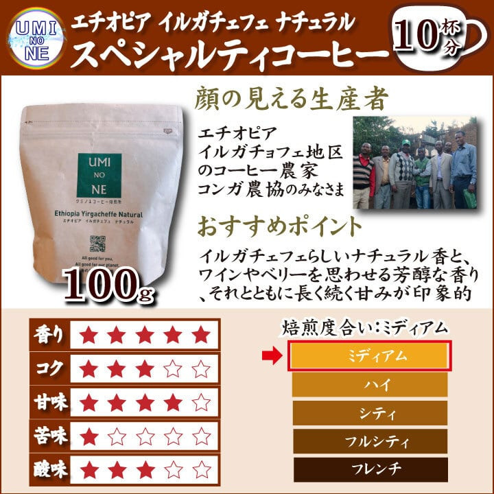 スペシャルティ コーヒー豆セット エチオピア 300g(100g×3袋) 下関市 山口