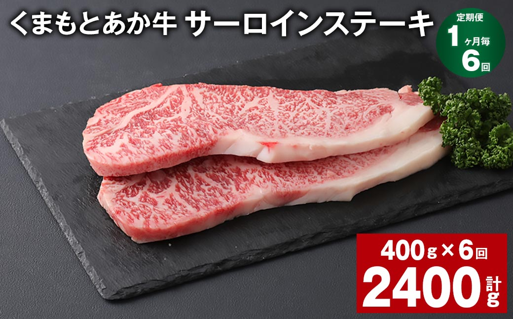 
【1ヶ月毎6回定期便】 くまもとあか牛 サーロインステーキ 計約2.4kg（約400g✕6回） 和牛 牛肉
