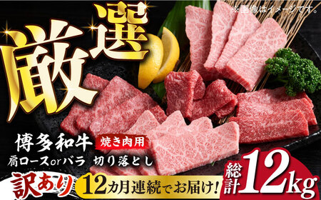 【全12回定期便】【訳あり】博多和牛 焼肉 切り落とし1kg（500g×2p）《築上町》【MEAT PLUS】肉 お肉 牛肉 切り落とし [ABBP156] 切り落とし 切り落とし 切り落とし 切り落とし 切り落とし