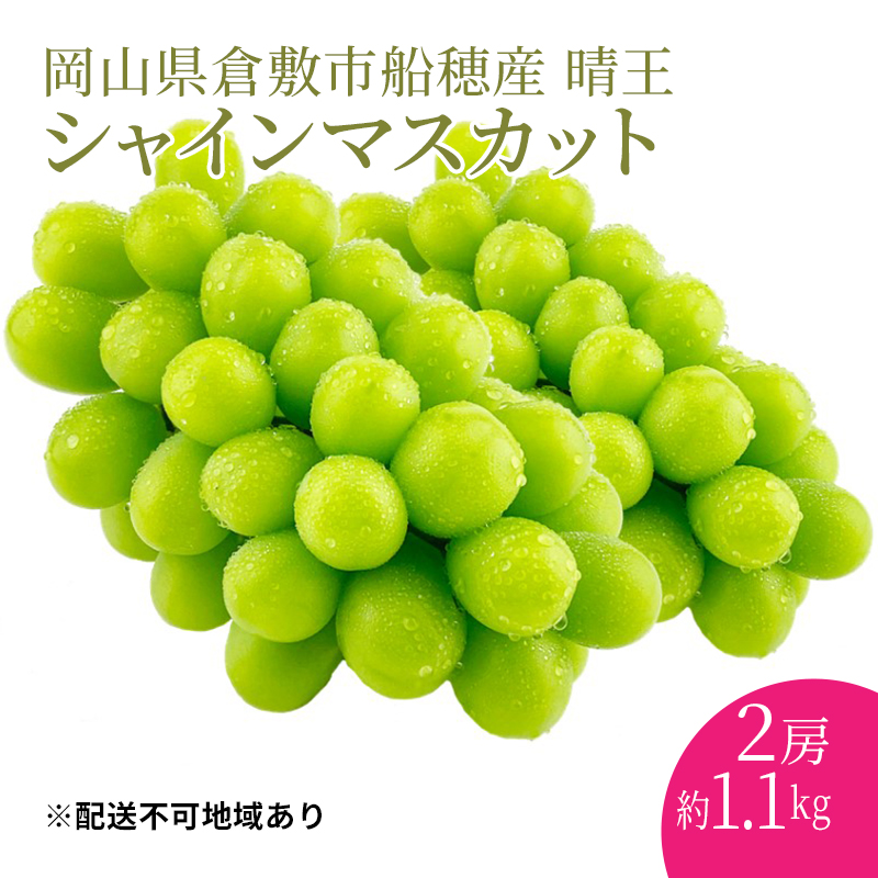 ぶどう 2024年度分 先行予約 【プレミアムシャインマスカット 晴王 2房 約1.1kg】船穂産　赤秀品以上  岡山県産 葡萄 ブドウ ギフト ハレノフルーツ 皮ごと食べる みずみずしい