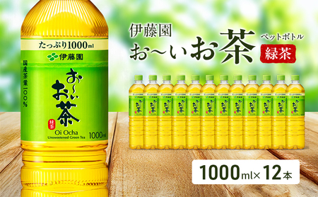 お～いお茶 緑茶 ペットボトル 伊藤園 お～いお茶【1L×12本】