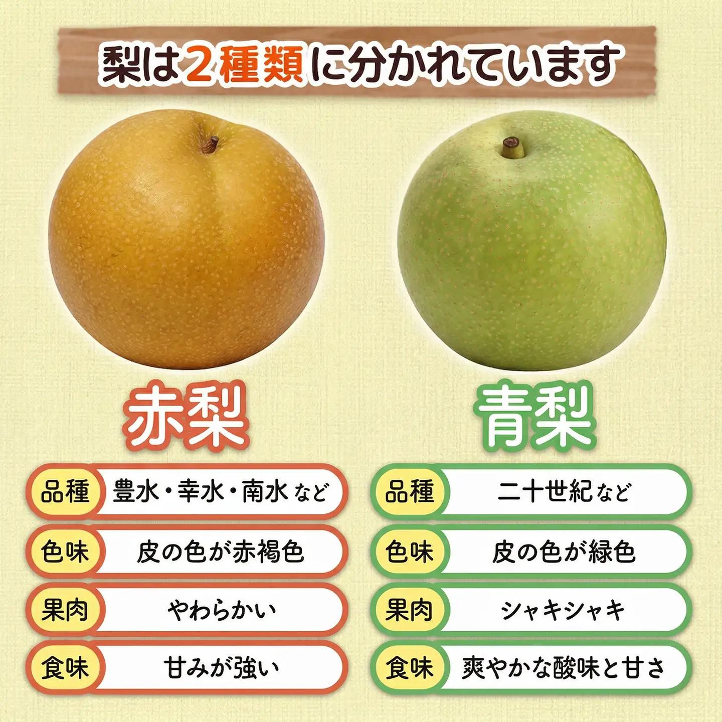 梨 南水 約5㎏ 梨