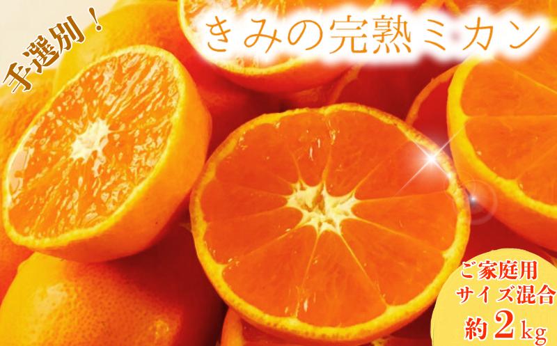 
             あま～い！ カツオの有機肥料が味の決め手！ 「きみの完熟ミカン」 約2kg (15~25個程度) サイズ混合 2S~L ご家庭用(秀優混合) 紀美野町産 /みかん ミカン 柑橘 和歌山県 有機 手選別 【kmf010A】
          