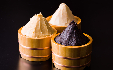 【6回定期便】岐阜の味 田毎の味噌煮込みうどんセット 即席 カンタン 麺　岐阜市 / ラボレムス[ANFP009]