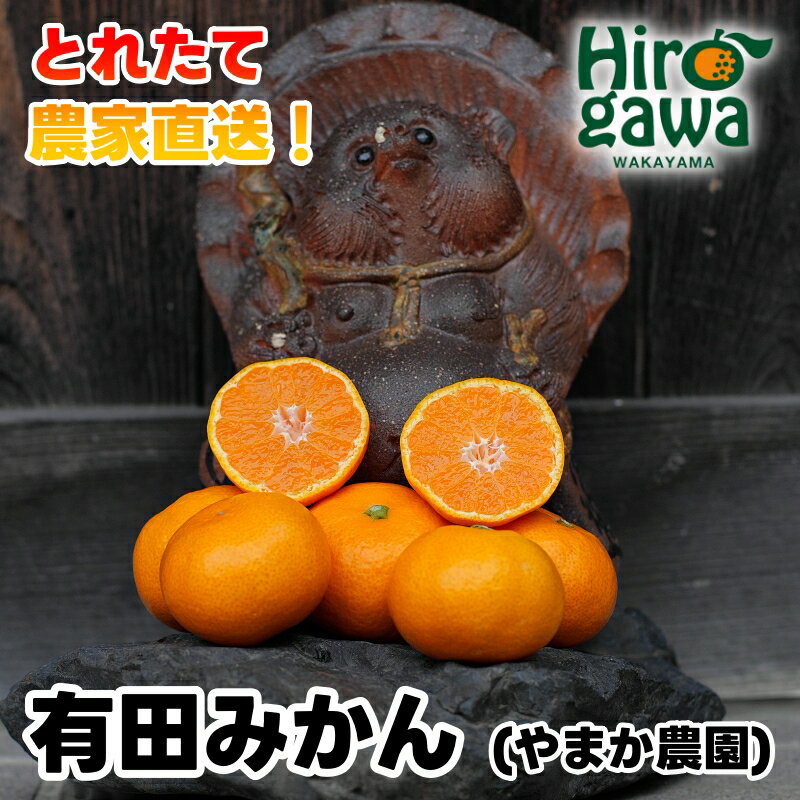 【ふるさと納税】 有田みかん 2kg 5kg 10kg 小玉 M・Lサイズ 大玉 6000円 10000円 ※12月上旬〜翌年1月上旬頃順次発送予定 / 温州みかん みかん 小粒 ちっちゃい ちっちゃな 果物 くだもの ギフト プレゼント 贈答 贈り物 お歳暮 和歌山 有田 広川 //mandarin