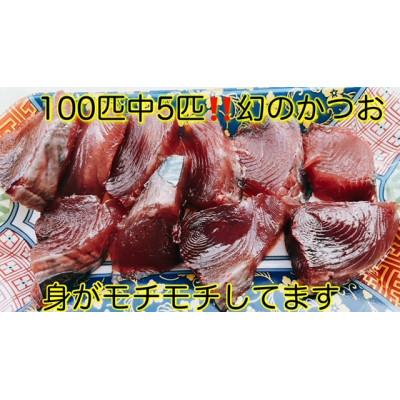 ふるさと納税 南国市 釣れたてモチモチ食感をご家庭で!ビリかつおわら焼きタタキ・刺身各250g×2(醤油・ニンニク・タレ付 |  | 01