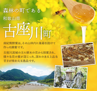 希少ハチミツ 南紀熊野蜜 400g（200g×2個） / 古座川流域で採取した日本みつばちのはちみつ 南紀熊野蜜B はちみつ 国産 日本ミツバチ 【tkd201】