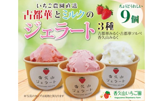 農園仕込みの贅沢ジェラート。奈良ブランドいちご「古都華」ジェラート9個セット（古都華みるく・古都華ソルベ・香久山みるく）