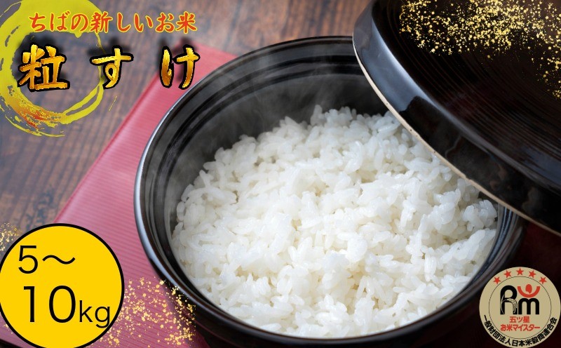 
                  米 粒すけ 5～10kg 【五ツ星お米マイスター厳選】 コメ こめ ご飯 千葉県産 根本商店 ちばの新しいお米 大粒で程よい粘りと食感の美味しい　
                