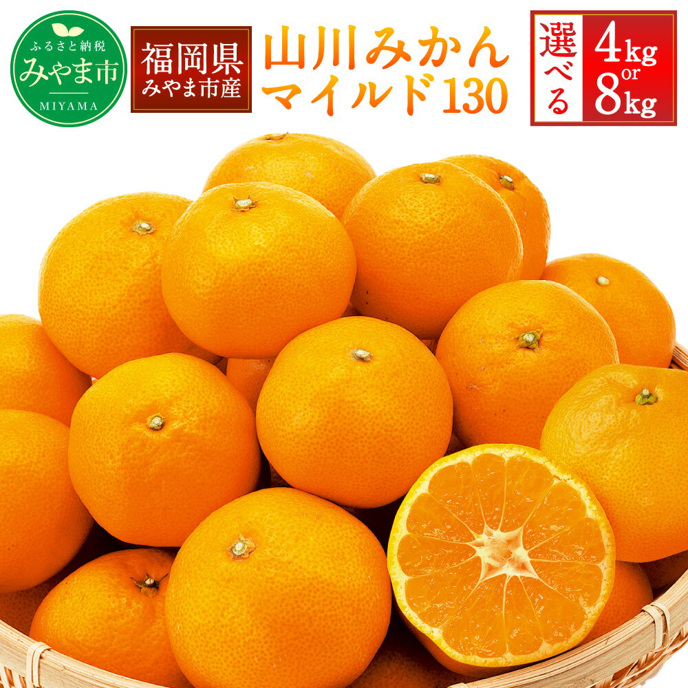 【ふるさと納税】＜選べる＞ 農林水産大臣賞受賞 山川みかん マイルド130 4kg または 8kg みかん ミカン 蜜柑 フルーツ 果物 高糖度 国産 福岡県産 九州 送料無料 【2025年11月上旬～12月上旬迄順次発送予定】 A2 B35