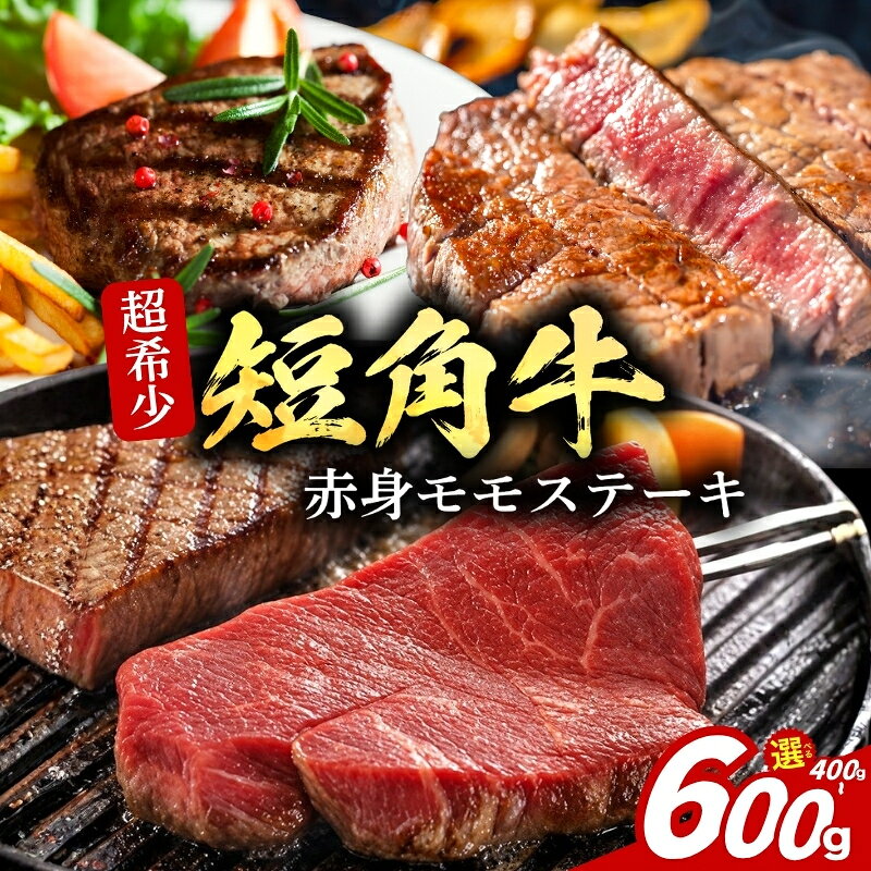 【ふるさと納税】 いわて短角牛 ステーキ モモ 選べる容量 400g～600g 冷凍 岩手産 国産 希少 高級 和牛 国産牛 ブランド牛 短角牛 赤身 モモステーキ ステーキ肉 岩手牛 贈答 贈答用 贈り物 岩手県 盛岡市 赤身肉 BBQ キャンプ 肉 盛岡 有限会社トゥレイス