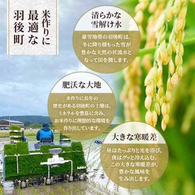 ふるさと納税 羽後町 【先行予約】定期便 令和8年産 秋田県産あきたこまち 10kg 全3回[No.5325-0699] |  | 02