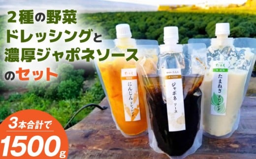 無添加ドレッシングと濃厚ジャポネソースのセット（500g）計3本_2種 野菜 ドレッシング ジャポネソース 各 500g 計 3本 セット 非加熱 生酵素 低オイル ヘルシー 人参 玉ねぎ 甘み 癖になる 美味しさ 玉ねぎドレッシング 人参ドレッシング フレッシュ 濃厚 洋食店の味 万能 ソース お取り寄せ 福岡県 久留米市 送料無料_Cd021-01