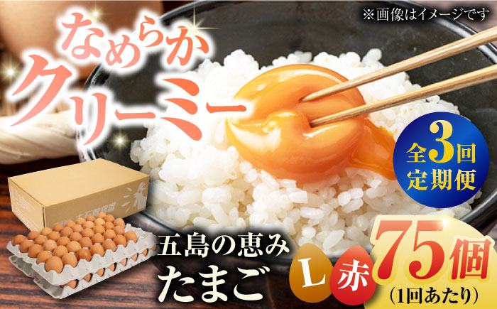 【全3回定期便】【箱入り】五島の恵みたまご Lサイズ 75個入 / 卵 赤玉子五島市 / 五島列島大石養鶏場 [PFQ017]