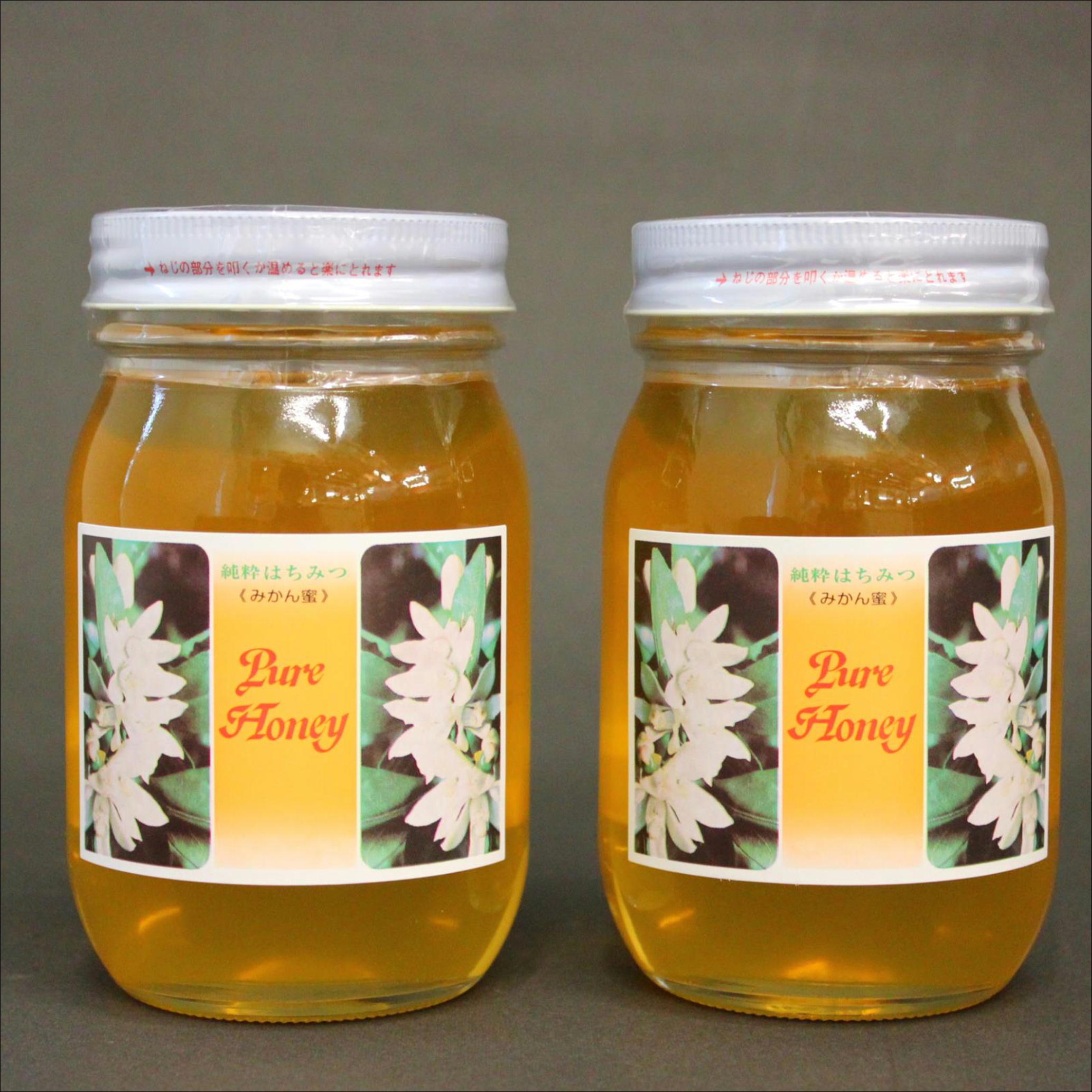 【ふるさと納税】 みかん蜜セット 600g ×2 | はちみつ ハチミツ 蜂蜜 みかん蜜 和歌山