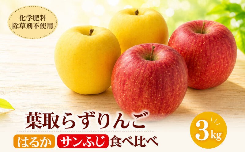 
                  【先行予約】 りんご 3kg 詰め合わせ はるか サンフジ 季節限定 12月発送 フルーツキャップ付 りんご リンゴ ringo りんご 林檎 りんご 産地直送 新鮮 アップル くだもの 果物 フルーツ ふじ フジ りんご 旬 盛岡りんご 旬のりんご 甘い りんご あまい 果実 冬 特産 岩手県 盛岡市 岩手 佐藤農園 盛岡 有限会社トゥレイス treis001
                