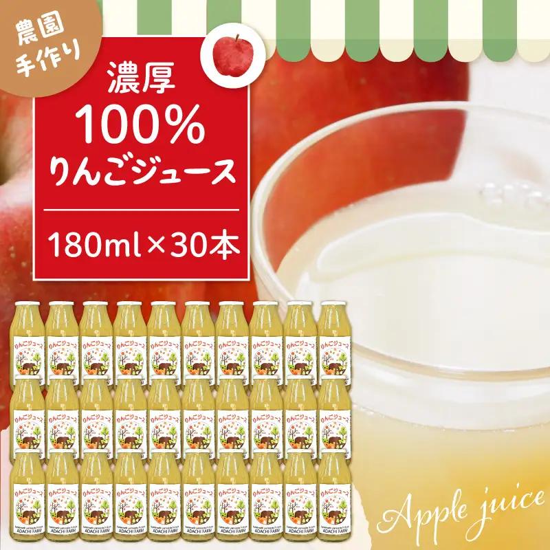100％ りんご ジュース 180cc × 30本 フルーツ ジュース
