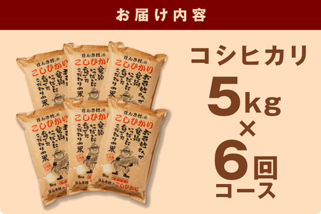 【令和7年産】【定期便】ほんき村のこしひかり 30kg（5kg×6回コース）産直米 特産 お米 精米 白米 玄米 ごはん ご飯 コメ 新米 30キロ 30kg 【197_1953】
