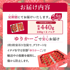 さがほのか 2P×4回定期便（1月～4月発送）