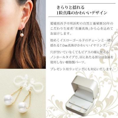 ふるさと納税 西予市 <真珠イヤリング・トライアングル(イエローゴールド)> ジュエリー アクセサリー ファッション |  | 01