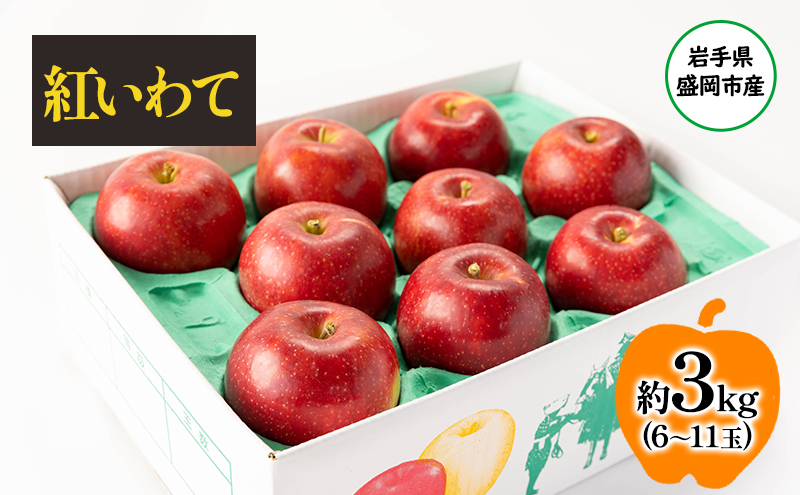 
                  盛岡から「農で人をつなぐ」藤与果樹園：紅いわて 3kg フルーツ 果物 旬のフルーツ 旬の果物 旬 冬 岩手 盛岡 産地直送 玉数指定不可 詰め合わせ 岩手 盛岡
                