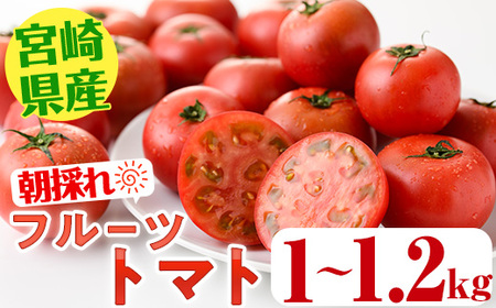 ＜期間限定＞フルーツ トマト(1～1.2kg) リコピン スライストマト サラダ 惣菜 生 野菜 とまと 料理 朝採れ 宮崎県 【KT-8】【K.Tfarm】