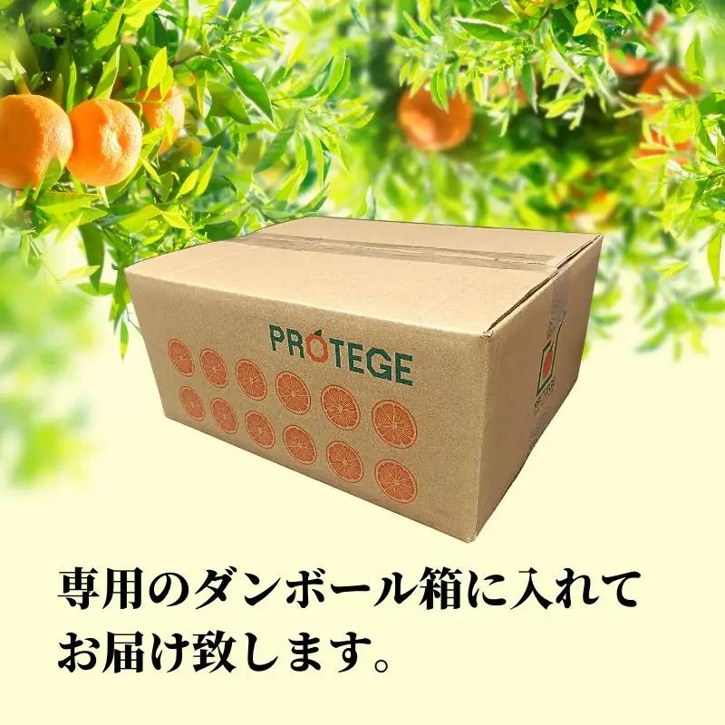 【2027年2月下旬頃から順次発送】甘夏 家庭用 約5kg | 愛媛 愛媛県産みかん 蜜柑 ミカン mikan みかん あまなつ 柑橘 お取り寄せ グルメ 期間限定 数量限定 酸味 果物 旬 愛媛県 