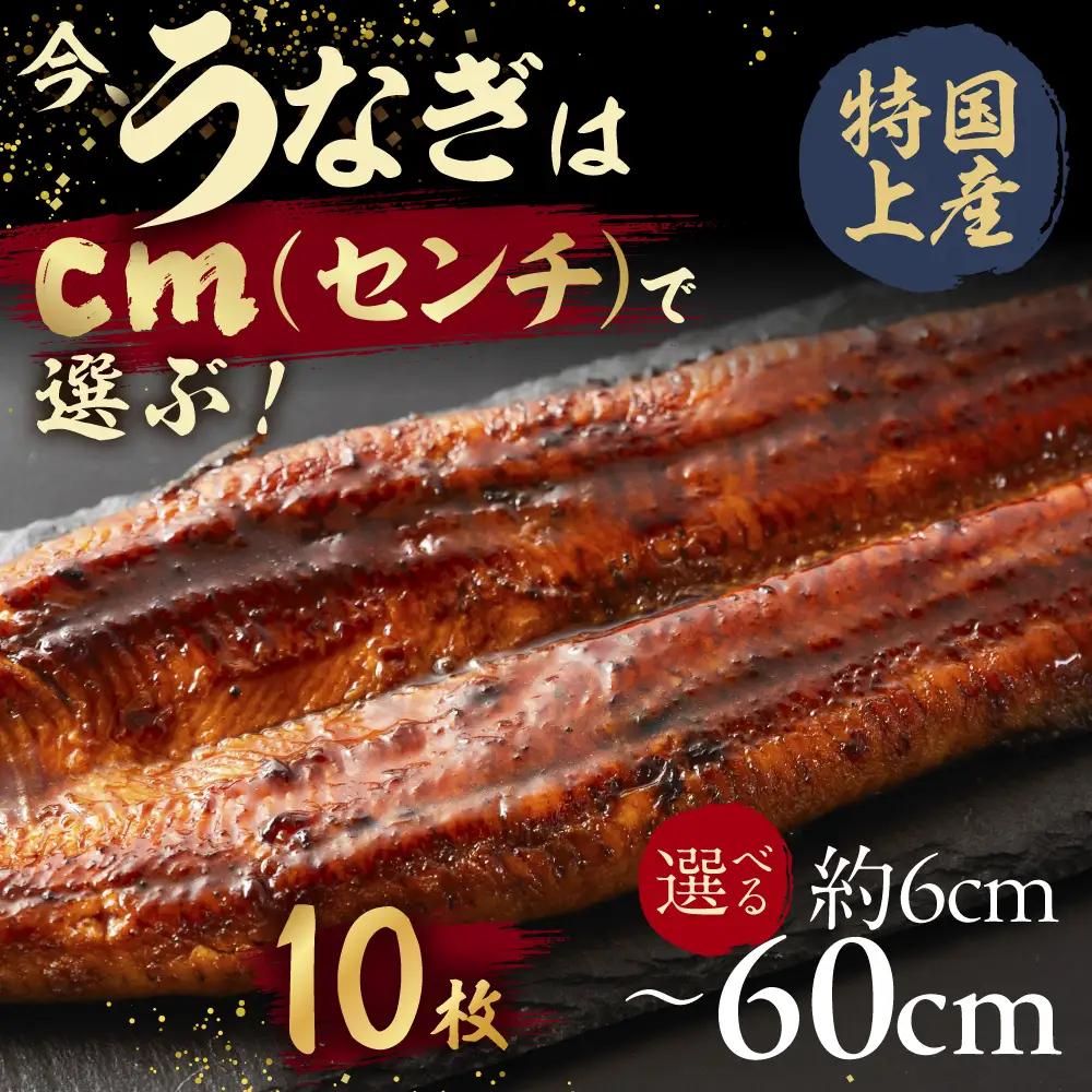 【うなぎ蒲焼　60cm（6cm×10枚）】今、うなぎはセンチで選ぶ！ 長さ選べる 国産 うなぎ蒲焼 カット鰻 うなぎ ウナギ unagi カット済 うな重 冷凍 うな丼 ストック 蒲焼 タレ付 選べる