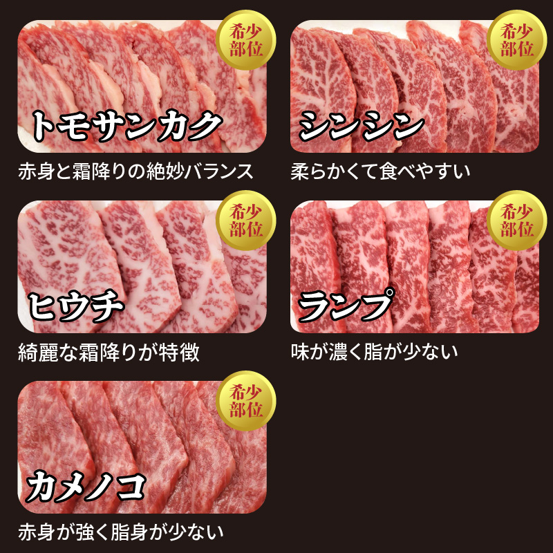 宮崎牛焼肉食べ比べ4種～8種盛り 合計800g　N0140-YC523