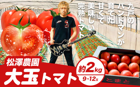 大玉トマト 2kg 9~12玉   松澤農園  岩手県九戸村