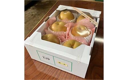 『令和7年産先行受付』 山形県産 和梨 6玉 ※品種おまかせ 秀品 約1.8kg~2kg 梨 洋梨 フルーツ 果物 くだもの 山形県 中山町 F4A-0465