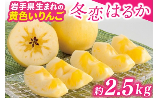 
                  りんご 「冬恋」はるか 糖度15度以上【先行予約 12月発送予定】 数量限定 岩手県産 りんご リンゴ 林檎 冬恋 はるか フルーツ くだもの 果物 【冬恋研究会】 (AI022-00)
                