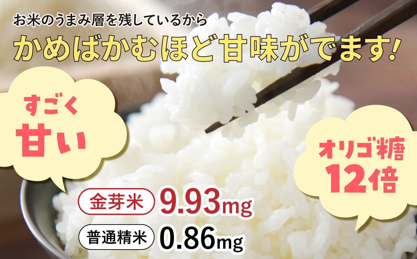 【 定期便3回 】令和7年 宮城県産 金芽米 ひとめぼれ 計15kg ( 5kg×3回 )   [ 宮城県 加美町 km-my-knm05-t3-r7 ]  お米 こめ コメ 精米 白米 きんめまい 