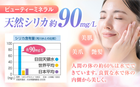 【全12回定期便】 日田天領水 500ml×24本 天然水 備蓄 防災 ミネラルウォーター シリカ[AREG034]