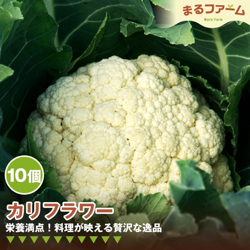 
                  カリフラワー　10コ ／ 新鮮 国産 野菜 食感 コリコリ 甘み 料理用 サラダ スープ ピクルス 下処理簡単 野菜セット 大容量 日常使い 千葉県 特産 No.380
                