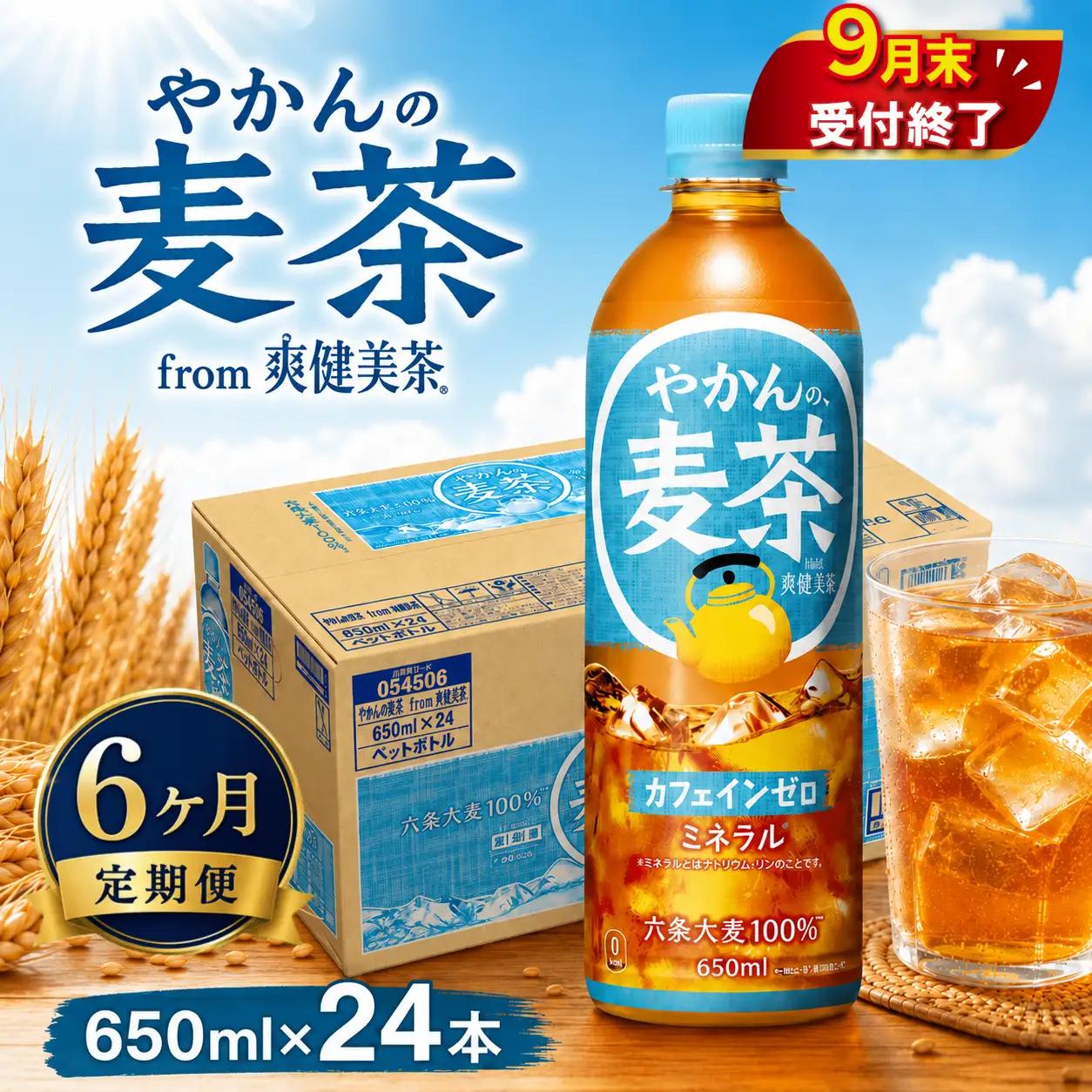 6ヶ月 定期便 やかんの麦茶 PET 650ml × 24本 セット 麦茶