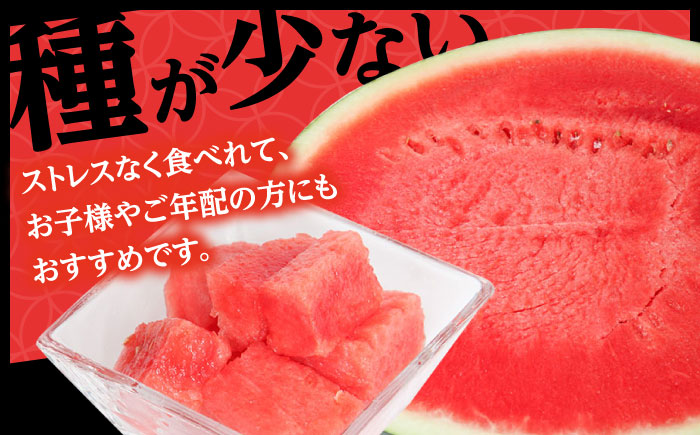 【先行予約・7月以降発送】尺玉西瓜 1玉（約7kg～9kg） 日田市 / JAおおいた [AREW001]
