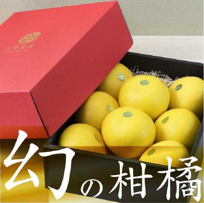 【ふるさと納税】【先行予約】秀品 ☆高知産土佐文旦☆3L 8玉入【贈答用】〈2027年1月下旬頃より順次発送〉/ 柑橘 フルーツ 先行予約 ぶんたん ブンタン 果物 お取り寄せ【TAMURAKAJUEN】[BQAQ001]