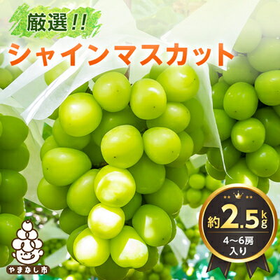 【ふるさと納税】2026年発送 山梨県産 シャインマスカット 約2.5kg(4～6房) 山梨が誇る 人気果物【配送不可地域：離島・沖縄県】【1272527】