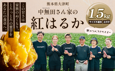 熊本県産 中無田農園の紅はるか 約1.5kg 《1-5日以内に出荷(土日祝除く)》さつまいもさつまいもさつまいもさつまいもさつまいも