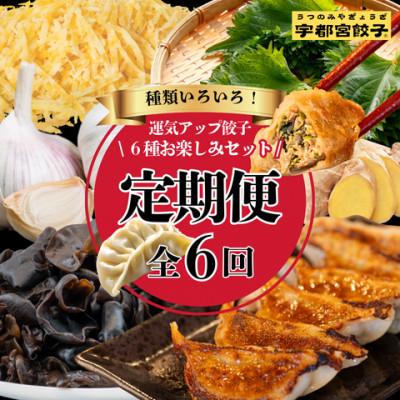 ふるさと納税 宇都宮市 【毎月定期便】宇都宮餃子　運気アップ餃子6種お楽しみコース　(毎月1種・18個入り・冷凍)全6回