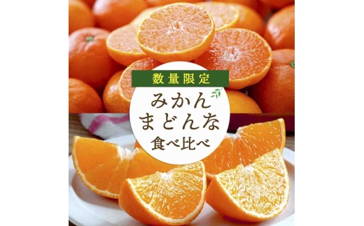 愛媛みかん・まどんな食べ比べ 合計4kg＜訳あり＞＜F25-118＞_ 蜜柑 ミカン みかん 柑橘類 フルーツ 果物 くだもの 人気 美味しい 愛媛県 八幡浜市 ふるさと 【1419032】 YWTAP061