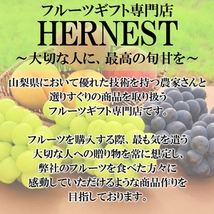 5-91 南アルプス市産　旬の採れたて巨峰　2～3房入り　約1kg