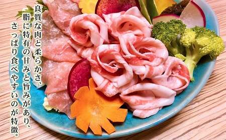 アグー豚「パイとん」しゃぶしゃぶ用2kg（500g×4）&ベーコン2枚 しゃぶしゃぶ あぐー アグー あぐーしゃぶしゃぶ 豚肉 豚しゃぶ 旨み 希少 お鍋 パイン ブランド豚 モモ肉 パイとん ベーコ