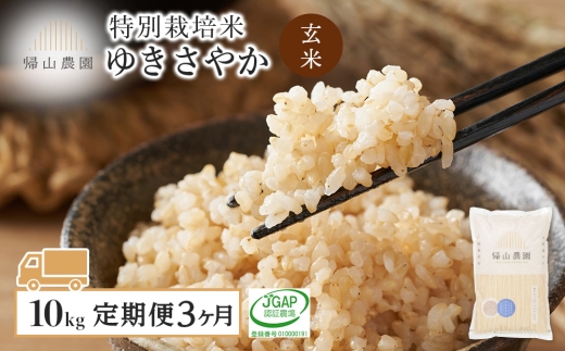 【3カ月定期便】特別栽培米産地直送「玄米ゆきさやか 10kg」《帰山農園》