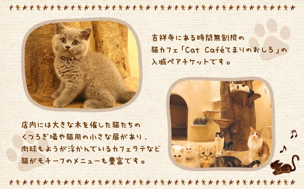 吉祥寺プティット村 ｢Cat Café てまりのおしろ｣ 入城ペアチケット マグカップ1個付き