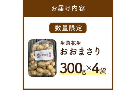 【数量限定50】農家直送　生落花生(おおまさり)　300g×4袋　レシピ付き