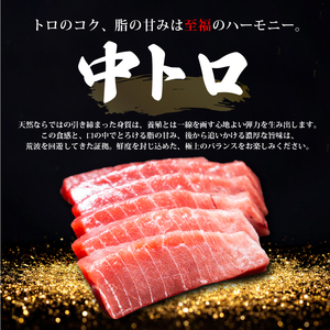 【スピード発送】 訳あり 天然本まぐろ 赤身中トロ大トロセット800g まぐろ