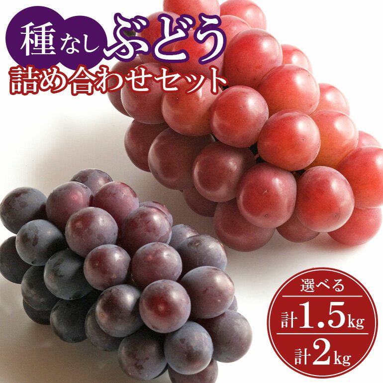 【ふるさと納税】【 2025年 先行予約 】 種なし ぶどう 詰合せ 1.5kg 2kg 石田ぶどう園 2房 〜 5房 3房 ～ 6房 詰め合わせ おまかせ お任せ ぶどう ブドウ 国産 果物 葡萄 種無し フルーツ 1.5キロ 9月 10月 発送 秋 旬 品種 産地直送 産直 農家直送 冷蔵 茨城県 石岡市